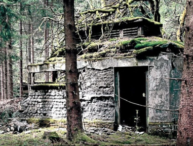 "Vergessen im Harz"