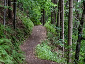 Von Leisnig nach Klosterbuch und zurück