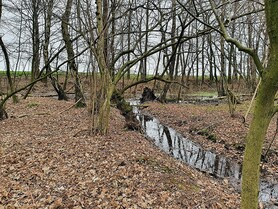 Digitale Erlebnistour im Auwald