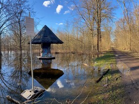 Digitale Erlebnistour im Auwald